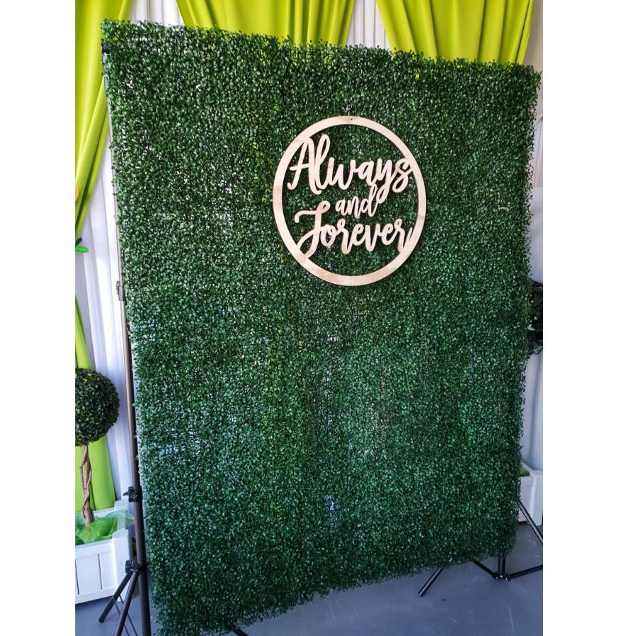 Boxwood Backdrop 896x896